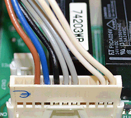 ar genus he 24.con cn4.gif